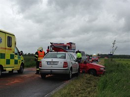 idi kody Felicie narazil na silnici mezi Brandsem a Kostelcem nad Labem do