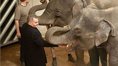 Nechybl ani u otevení nového pavilonu slon v praské zoo za více ne pl...