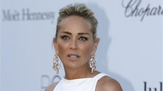 Sharon Stone (Cannes 2013) Sharon Stone (Cannes 2013)