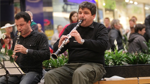 Flash mob brnnsk filharmonie v prodejn galerii Vakovka (30. kvtna 2013)