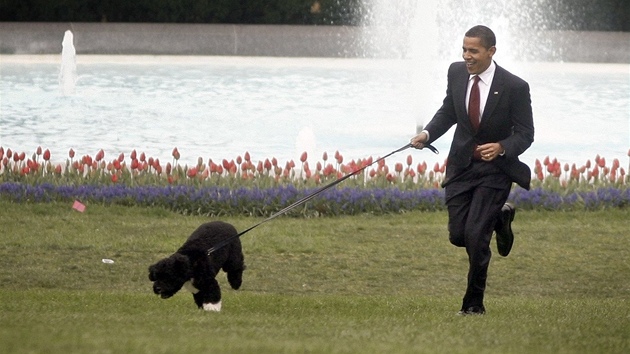 Barack Obama se psem Bo (2009)