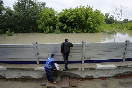 Mu pozoruje rozvodnný Dunaj pes protipovonovou zábranu v Dvin (5. ervna