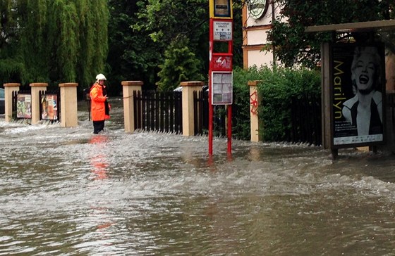 koly jsou na mnoha místech uzaveny, dti se tam asto nemají jak dostat.