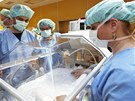 Zdravotníci pímo na operaní sál pivezli inkubátory (2. ervna 2013)