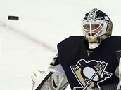 Tom Vokoun v brance Pittsburghu Penguins