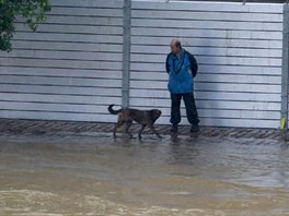 Mu  vení psa za protipovodovou stnou u praského parku Kampa. (2. ervna...