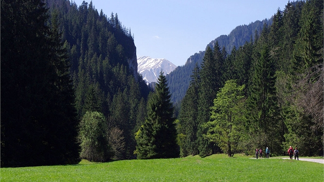 Dolina Kocieliska, na obzoru vrch Bystr (2 248 m)