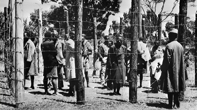 Písluníci hnutí Mau Mau za ostnatým drátem poté, co je chytili vojáci britské...