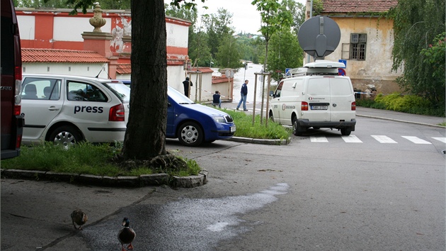 Tam, kde bn parkuj nvtvnci prask zoo, stoj voda. (4.ervna 2013)