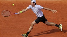 Nmecký tenista Tommy Haas zasahuje míek ve tvrtfinále Roland Garros.