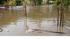 Rozvodnná Úpa ve Svobod nad Úpou v Královéhradeckém kraji (2. ervna 2013).