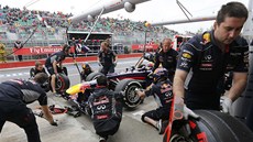 ZASTÁVKA. Mechanici provádí výmnu pneumatik u vozu Australana Marka Webbera. 