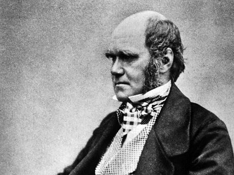 Charles Robert Darwin (12. února 1809  19. dubna 1882), britský pírodovdec a...
