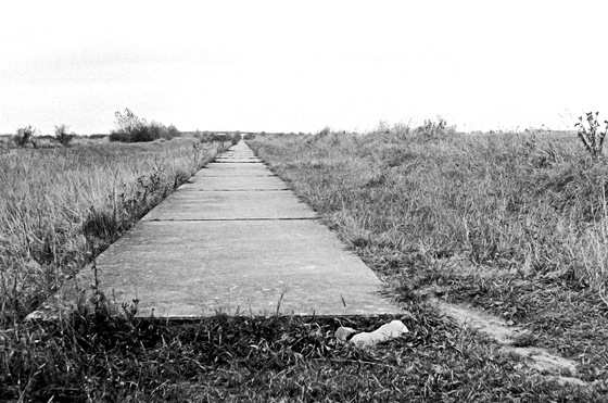 Pravý odstavný pruh u Prhonic (1966)