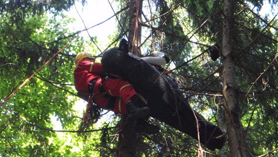 Hasii zachraovali u Ptení na Prostjovsku paraglidistu, který zstal viset za