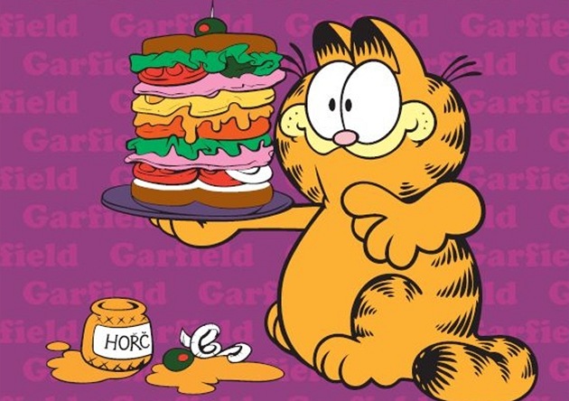 Garfield slaví 35. narozeniny (přebal knihy) Garfield slaví 35. narozeniny (přebal knihy)