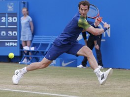 Britsk tenista Andy Murray ve finlovm souboji s Chorvatem Marinem iliem na