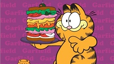 Garfield slaví 35. narozeniny (pebal knihy)