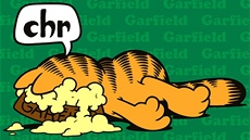 Garfield slaví 35. narozeniny (pebal knihy)