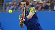 Britský tenista Andy Murray ve finálovém souboji s Chorvatem Marinem iliem na