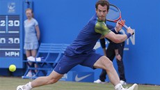 Britský tenista Andy Murray ve finálovém souboji s Chorvatem Marinem iliem na