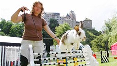 Králičí hop. Novou sportovní disciplínu prezentovala cvičitelka Lada Šípová Králičí hop. Novou sportovní disciplínu prezentovala cvičitelka Lada Šípová