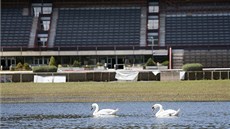 Na dostihovém závodišti ve Velké Chuchli po povodni zůstávají jezírka. Oblíbilo Na dostihovém závodišti ve Velké Chuchli po povodni zůstávají jezírka. Oblíbilo