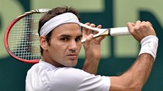 Roger Federer na turnaji v nmeckém Halle