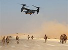 Vsadkov letoun V-22 Osprey bhem cvien Eager Lion v Jordnsku