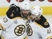 David Krej (vpravo) a Zdeno Chra z Bostonu v ptm finle Stanley Cupu.