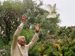 NOBELOVA CENA MÍRU. V prosinci 1993 Mandela obdrel Nobelovu cenu za mír....