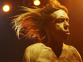 Punkový kmotr Iggy Pop koncertoval 22. ervna 2013 ve Frýdku-Místku se svou...
