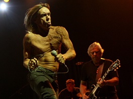 Punkový kmotr Iggy Pop koncertoval 22.6. 2013 ve Frýdku Místku se svou slavnou...