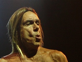 Punkový kmotr Iggy Pop koncertoval 22. ervna 2013 ve Frýdku-Místku se svou...