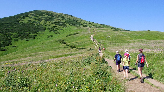 Vstup na Vek Kriv (1 709 m)