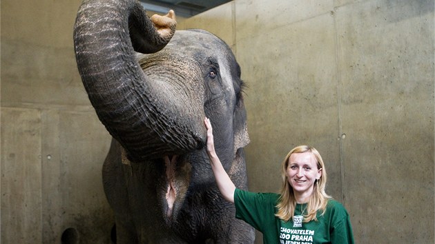 Renata Kucsarov se stala na den chovatelkou slon v prask zoo.