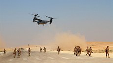 Výsadkový letoun V-22 Osprey bhem cviení Eager Lion v Jordánsku
