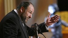 Ceny SAG - James Gandolfini - Los Angeles (27. ledna 2008)