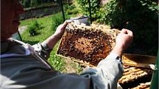 Zatím mají v Horkách dva úly, v létě přibudou další tři. Od září budou včelíny Zatím mají v Horkách dva úly, v létě přibudou další tři. Od září budou včelíny