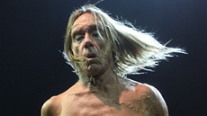 Iggy Pop je oznaovaný za kmotra punku. (Na snímku z koncertu se svou kapelou The Stooges 22. ervna 2013 ve Frýdku Místku.)