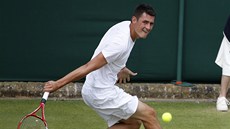 Bernard Tomic ve Wimbledonu