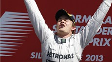 DOKÁZAL JSEM TO. Nmec Nico Rosberg se raduje z triumfu ve Velké cen Británie