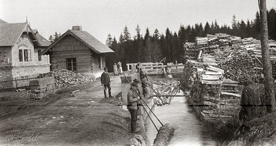 Historický snímek z plavení deva v umavském  Schwarzenberském kanálu. 