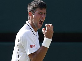 ANO! Novak Djokovi postoupil do finle Wimbledonu.