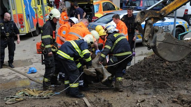 Dlnka zavalila hlna a po ramena. (4. ervence 2013)