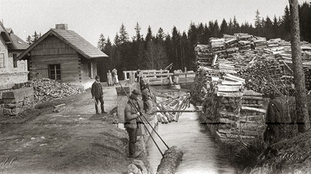 Historick snmek z plaven deva v umavskm  Schwarzenberskm kanlu. 