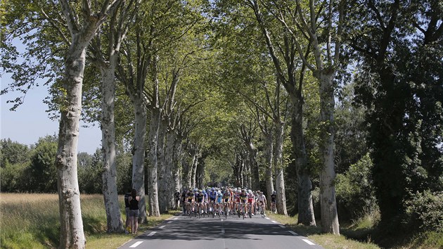 OSM ETAPA. Cyklist na Tour de France se poprv vydali do pyrenejskch kopc. V tuto chvli je vak teprve ekaly.