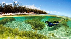 Réunion obklopují korálové útesy, jednou z oblíbených aktivit je norchlování.