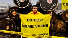 Aktivisté Greenpeace odhalili údajné nelegálně vytěžené dřevo chráněného stromu Aktivisté Greenpeace odhalili údajné nelegálně vytěžené dřevo chráněného stromu