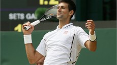 TAKHLE BY TO LO. Novak Djokovi v semifinále Wimbledonu proti Argentinci del